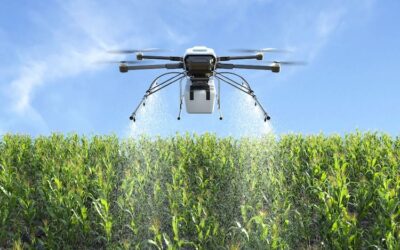 Agricultura inteligente: cómo los agricultores usan internet en el campo